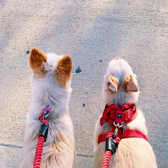 Meet Your Posher | Grace C. - Picture 3 of 3